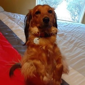 Meet your Posher, Michael